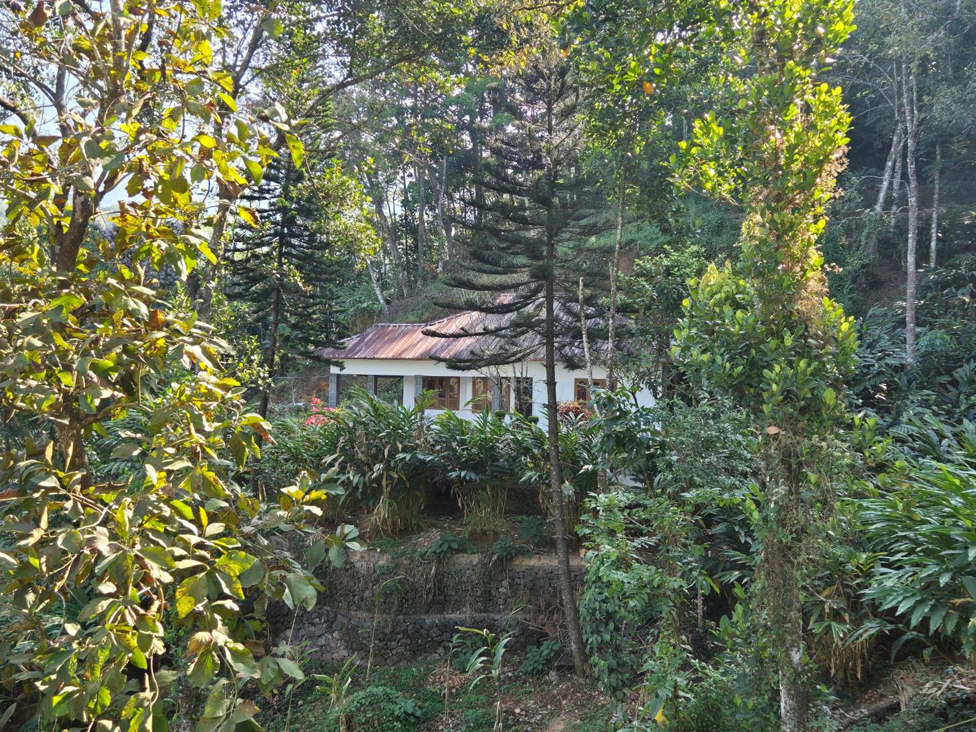 Anivilla Holiday Home Kunjithanny Anachal Exterior foto